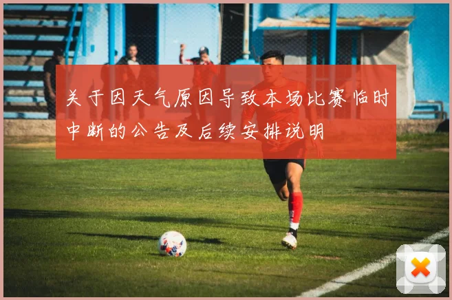 关于因天气原因导致本场比赛临时中断的公告及后续安排说明